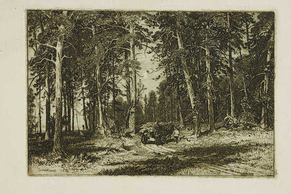 Шишкин Иван Иванович. Окраина сосновой рощи